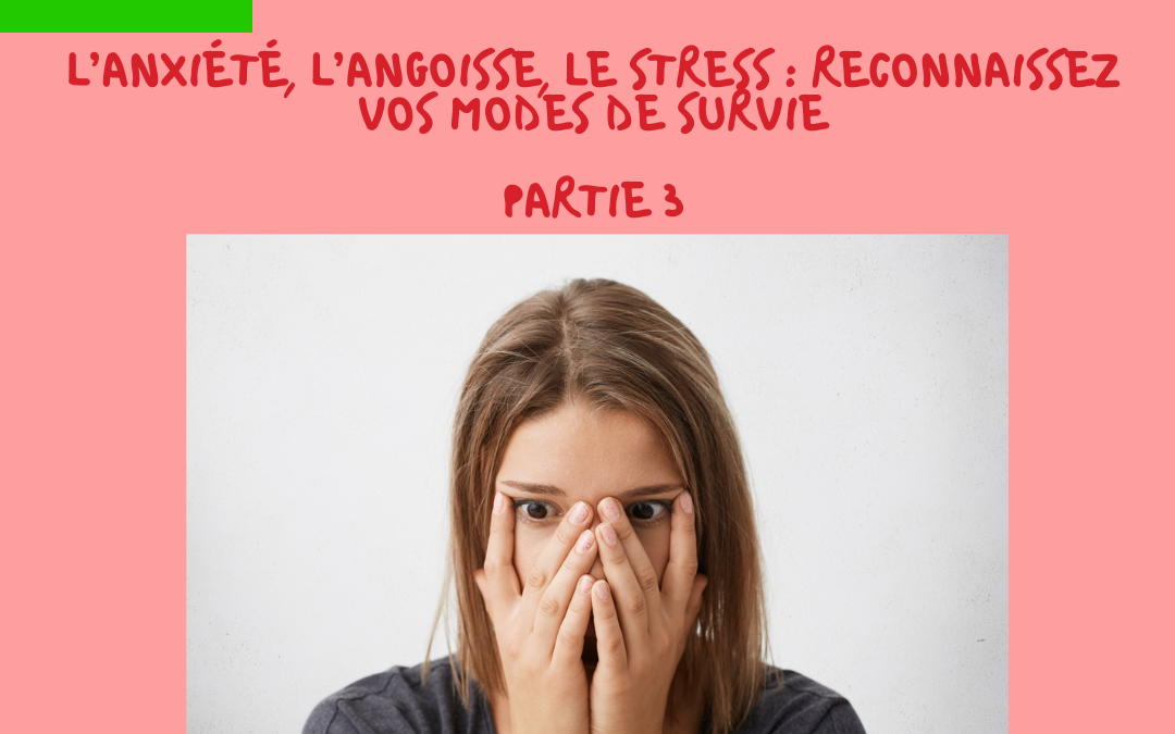 L’anxiété, l’angoisse, le stress : sachez reconnaître vos modes de survie … (3/3)