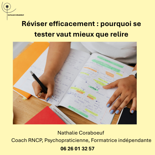 Et si le secret de la mémoire n’était pas de lire, mais de retrouver activement l’information ?